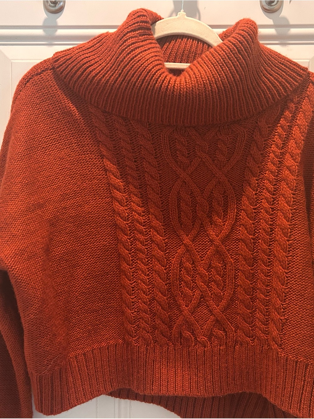 BB Dakota Jack Chunky Knit Sweater in Burnt Orange